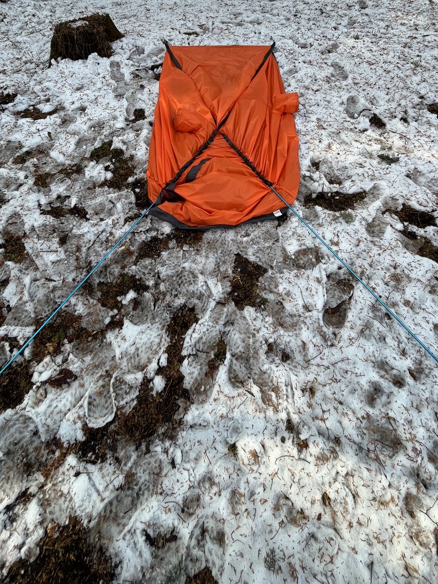 zenhike's tweet photo. テントを広げてフレームを連結し、伸ばしたフレームをスリーブに通して立ち上げる。
伸ばしたフレームは思ったより長いので、テン場などでは気を付けないといけない。
かなり軽いので、立ち上げたら風に持っていかれる可能性がある。やはりステークで固定が必要。
#raiz1 #araitent https://t.co/ijYQ2OUpFF