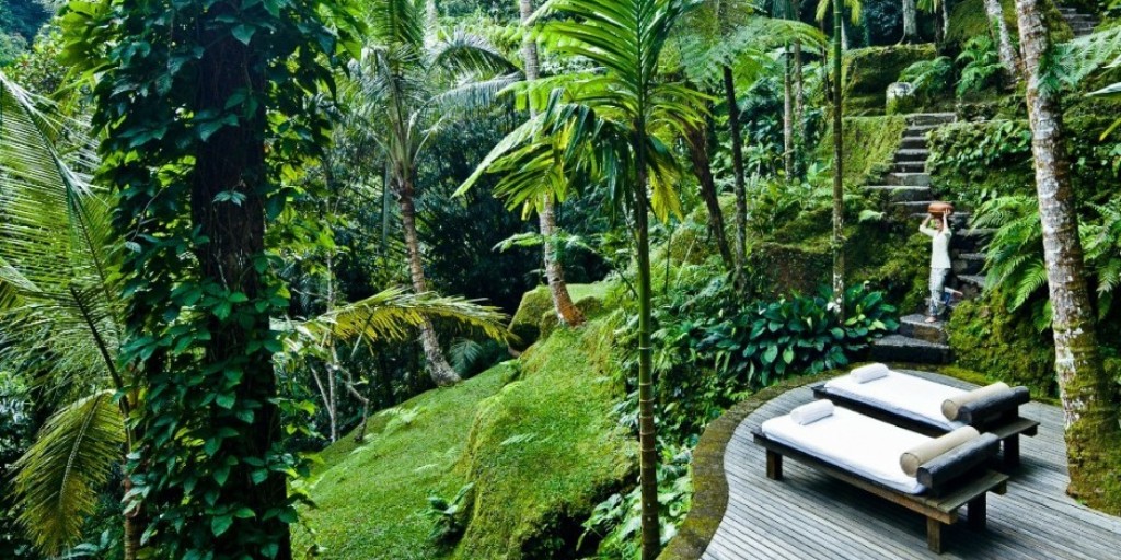 carrierholidays's tweet image. Taking its name from a mythical, spiritual kingdom, every aspect has been carefully considered at @comohotels Shambhala Estate to ensure you are immersed in a bespoke and holistic journey of wellness throughout your entire stay. Find out more bit.ly/3X938dA