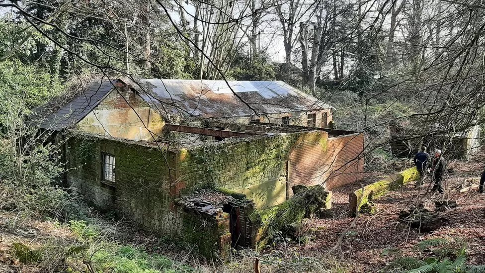 A building is being restored in West Sussex, by the Vincent Wildlife Trust, for what may be the first breeding colony of the rare greater horseshoe bat in the county.
The Trust bought a derelict farm building, where pups had been born. bbc.co.uk/news/uk-englan… <a href="/vincentwildlife/">Vincent Wildlife</a>