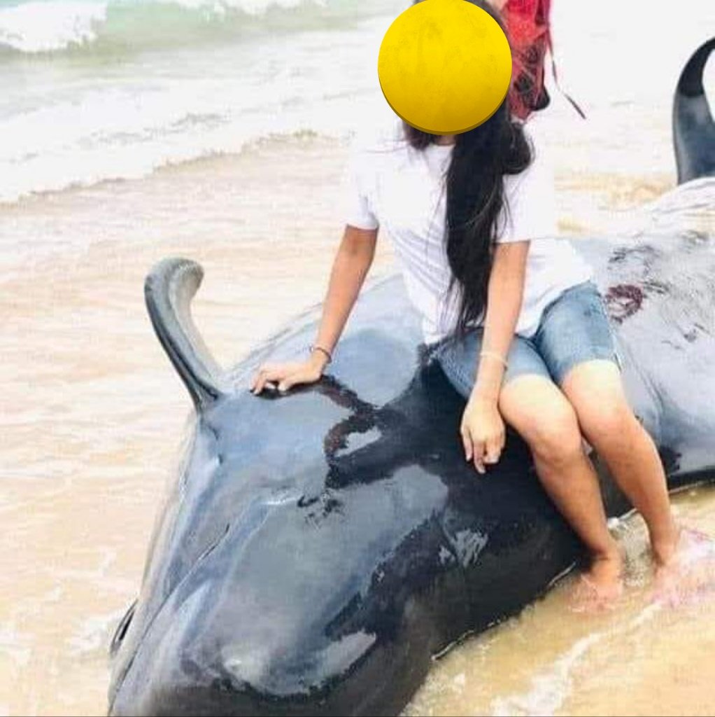 Jamz5251's tweet photo. Not everything is for you to climb on for a selfie! 

Why do some people lack compassion and basic intelligence? 🤬 https://t.co/aVqzZSEMIu