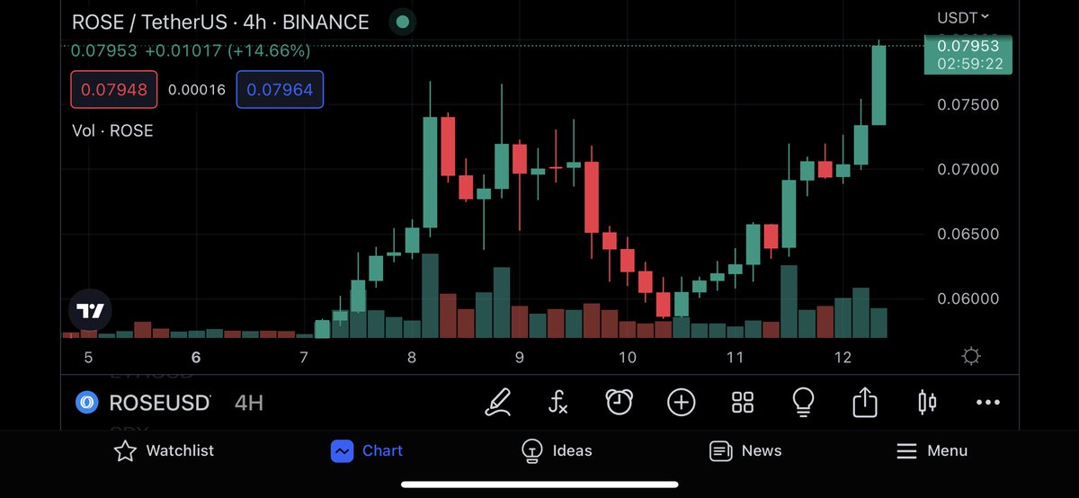 ElmerBuning's tweet image. $ROSE 🤩🚀 for the sake of Valentine's Day let’s send it higher 🚀 #ROSO #OasisNetwork #BTC #ETH #Crypto #Cryptocurrency