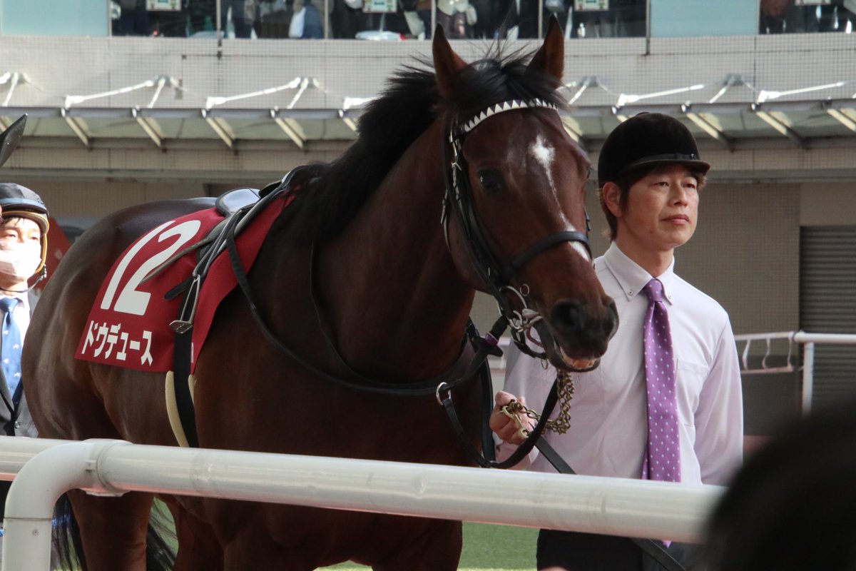 Nemophila_723's tweet image. ドウデュース
おめでとう🎉
 #京都記念2023