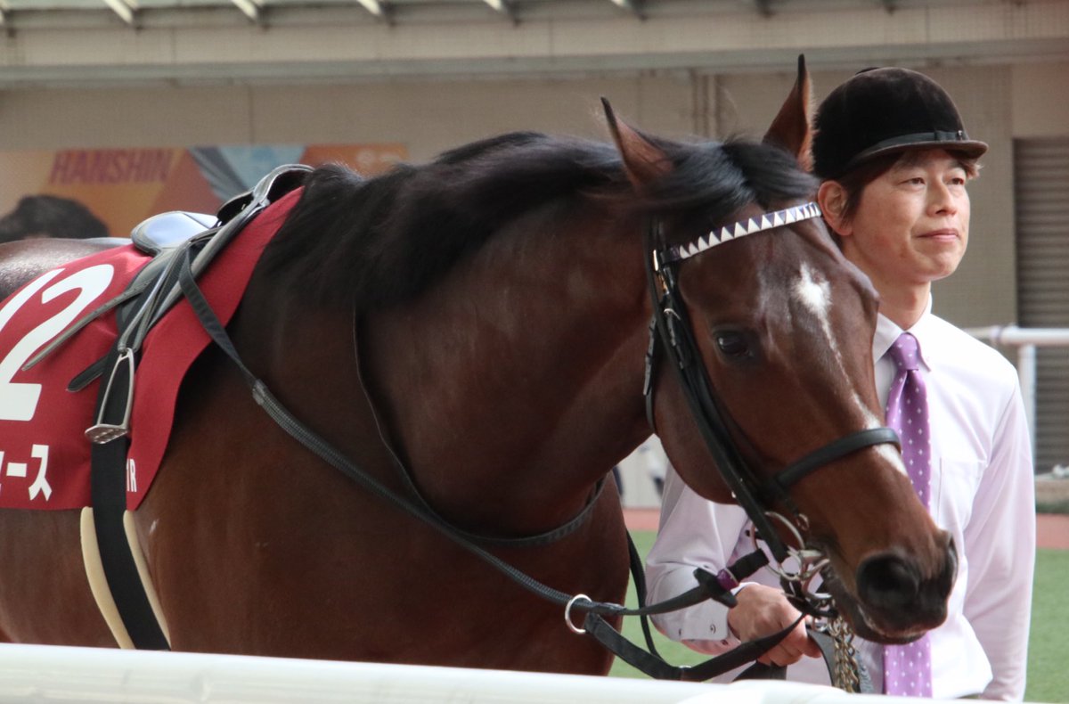 Nemophila_723's tweet image. ドウデュース
おめでとう🎉
 #京都記念2023