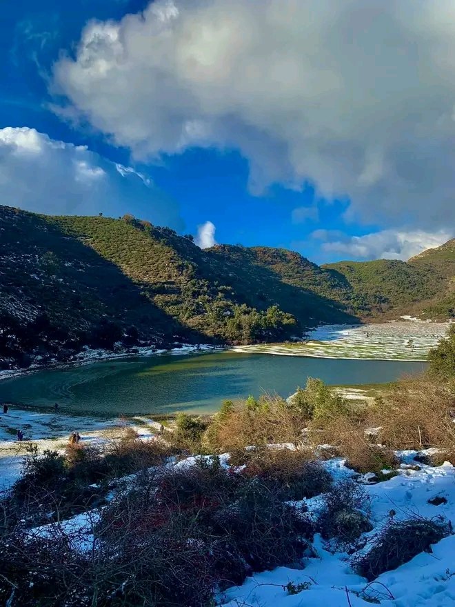 الضاية ولاية المدية #الجزائر