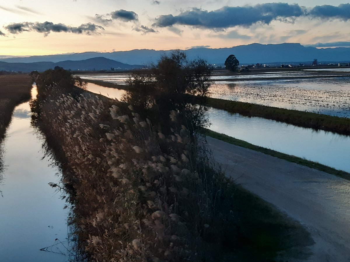 #SalvemLoDelta #DeltadelEbre