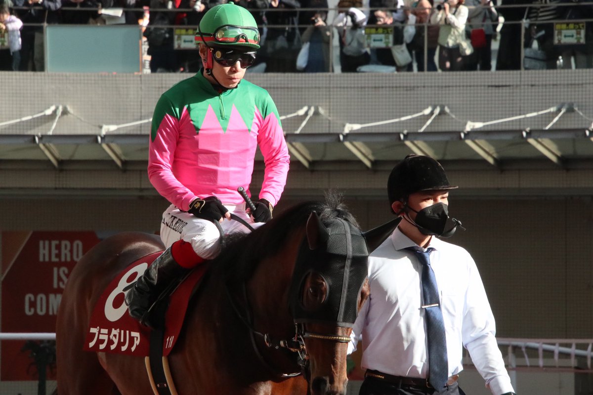 Nemophila_723's tweet image. プラダリア 池添謙一
 #京都記念2023