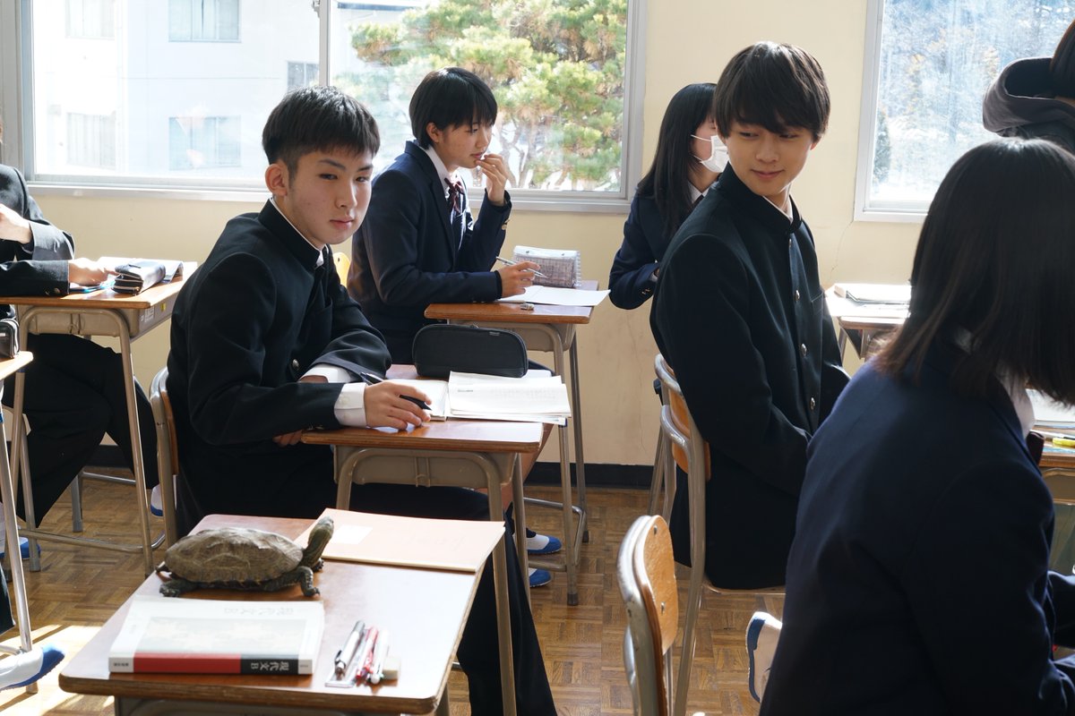 ☕️オフショット☕️
『亀も、青春は短い』🐢

高校生の長谷川は『亀』である。そして何事も遅く、小さい自分に違和感を覚えている🤔
亀、菊池日菜子さん、青山凌大さん、伊藤雨音さん、小林桃子さんのオフショットです📸

youtu.be/mYSSb19vF7w
<a href="/aoyamaryota426/">青山凌大&STAFF</a> <a href="/mew___amane/">伊藤雨音</a> <a href="/chups_kun/">前川昂哉【無情報】</a> 
#テレ東若手
