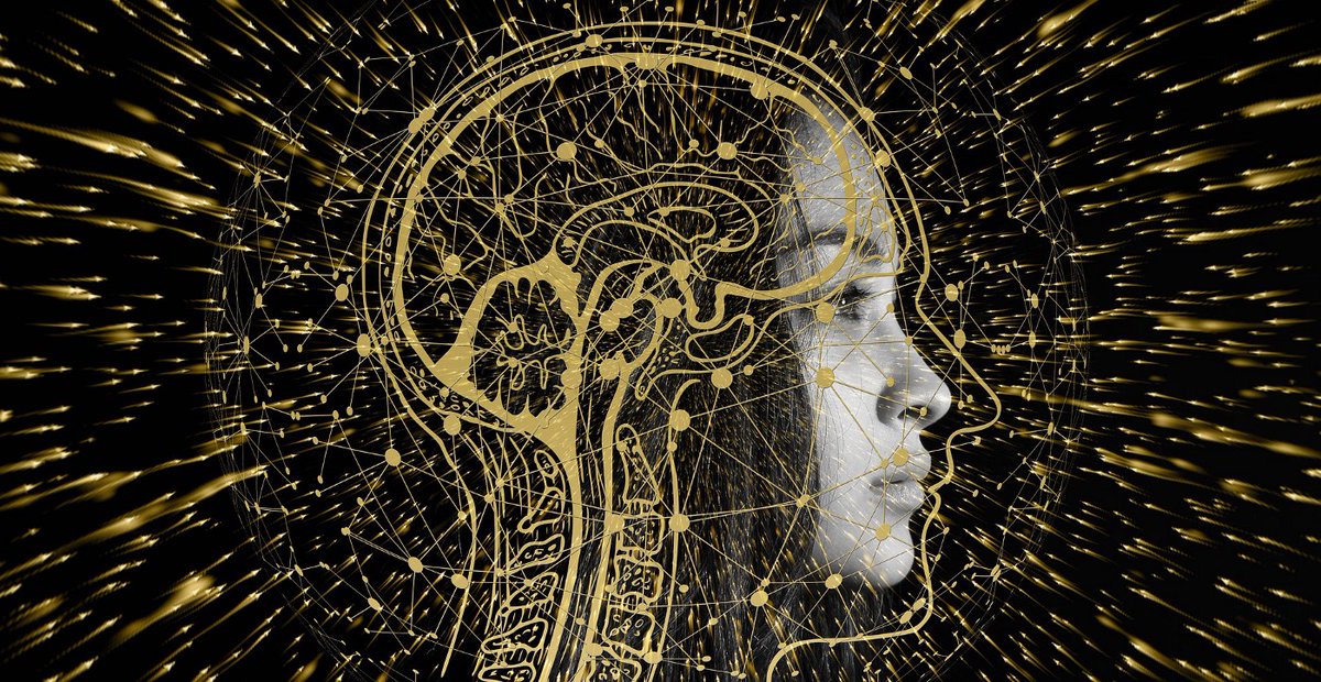 dnjokerdotcom's tweet photo. Domain name https://t.co/vkCXRJaO1q is for sale..

Ai + Ables

#Domains #domain #DomainNameForSale #domainforsale #domainname #domainnames #domainers #AI #IoT #GPT3 #ChatGPT #Chatbots #NFT #Web3 #blockchain #Crypto #Metaverse #meta #aiart #aiables #ChatGPTPlus #ables #AIArtwork https://t.co/DVHa631yQ4