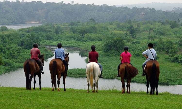 AllUgandaSafari's tweet image. Looking for a quick escape from the daily grind? 
Consider a weekend getaway! Explore new cities, relax on a beach, or go on a nature hike. 
The possibilities are endless 🌍✈️ Checkout the 5 Best #Uganda safari gateways👉
allugandasafaris.com/weekend-getawa…
#allugandasafaris #WeekendGateways