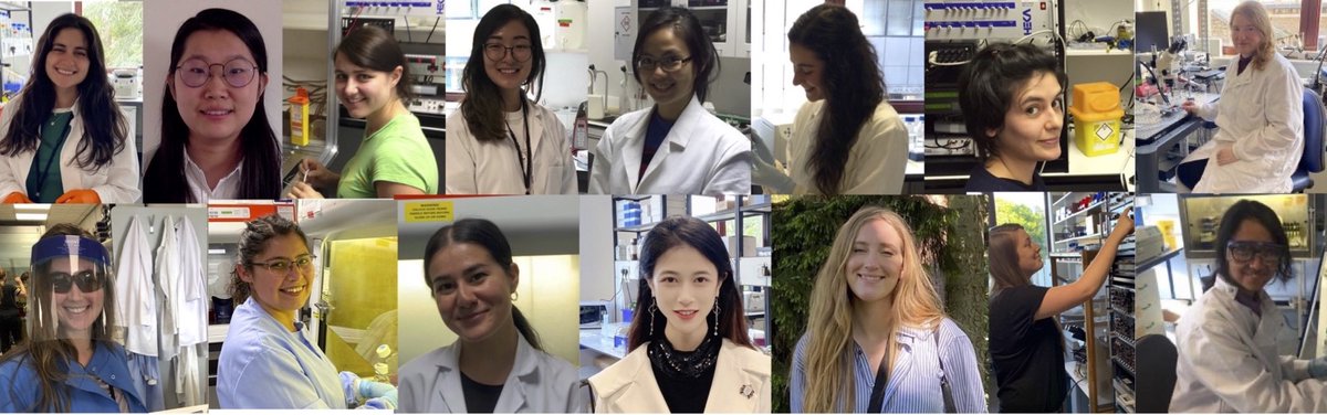 psalmotoxin's tweet photo. My post for #InternationalWomenInScienceDay was embarrassingly incomplete, thus reposting.

Thanks to the amazing women who have driven our research over the past 10-years: Maya, Minji, Laura, Jiwon, Sin Lih, Ines, Zoe, Toni, Becky, Paulina, Helen, Lanhui, Anne, Katie &amp; Sampurna https://t.co/M3Oi3lDwlB