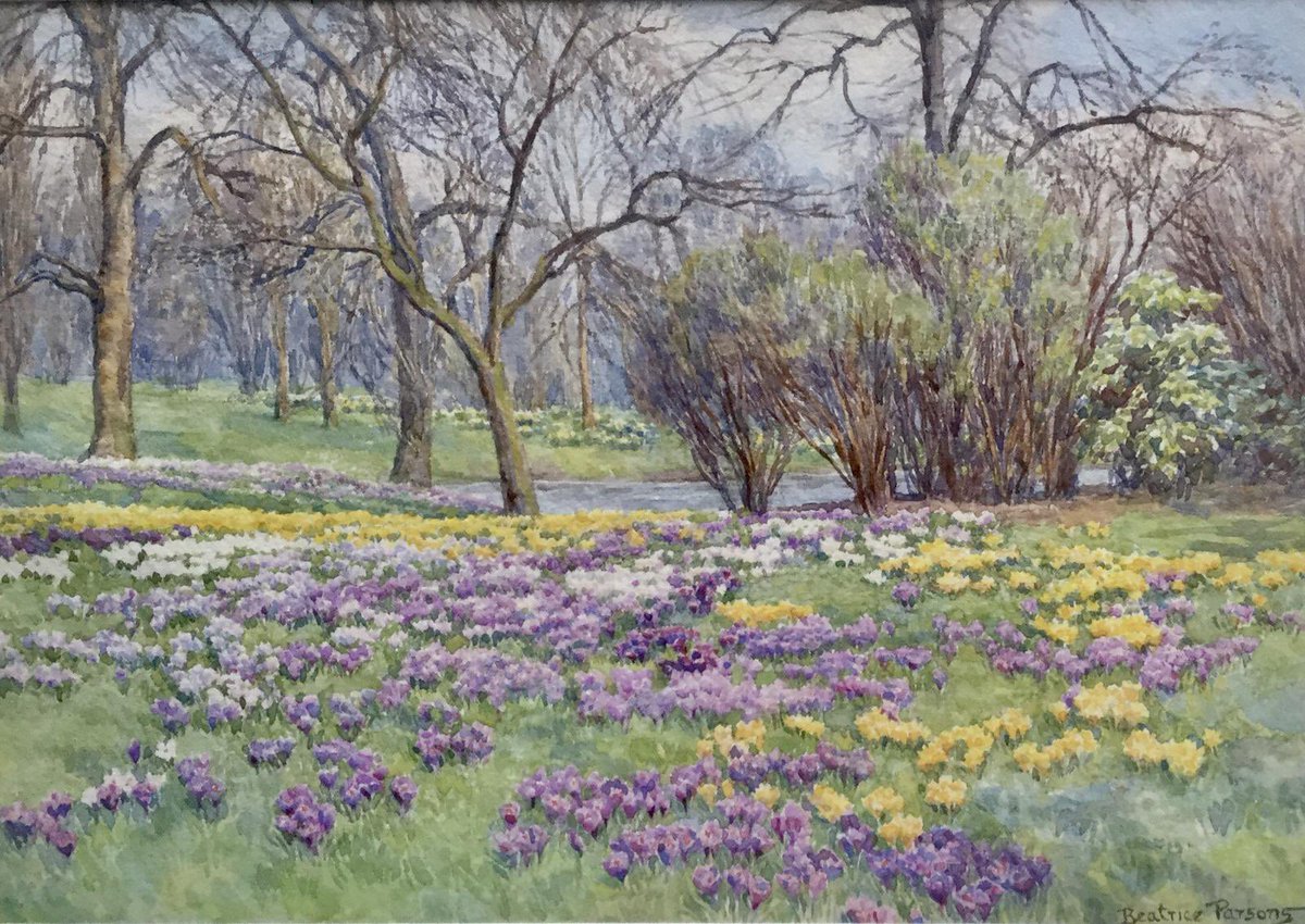 Springtime Crocuses in St James Park, London c1910 #BeatriceParsons