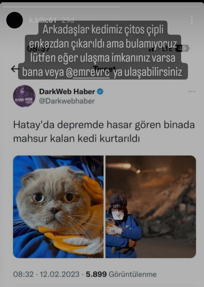 Troll Voleybol Fotoları 🥇🏆 tweet media