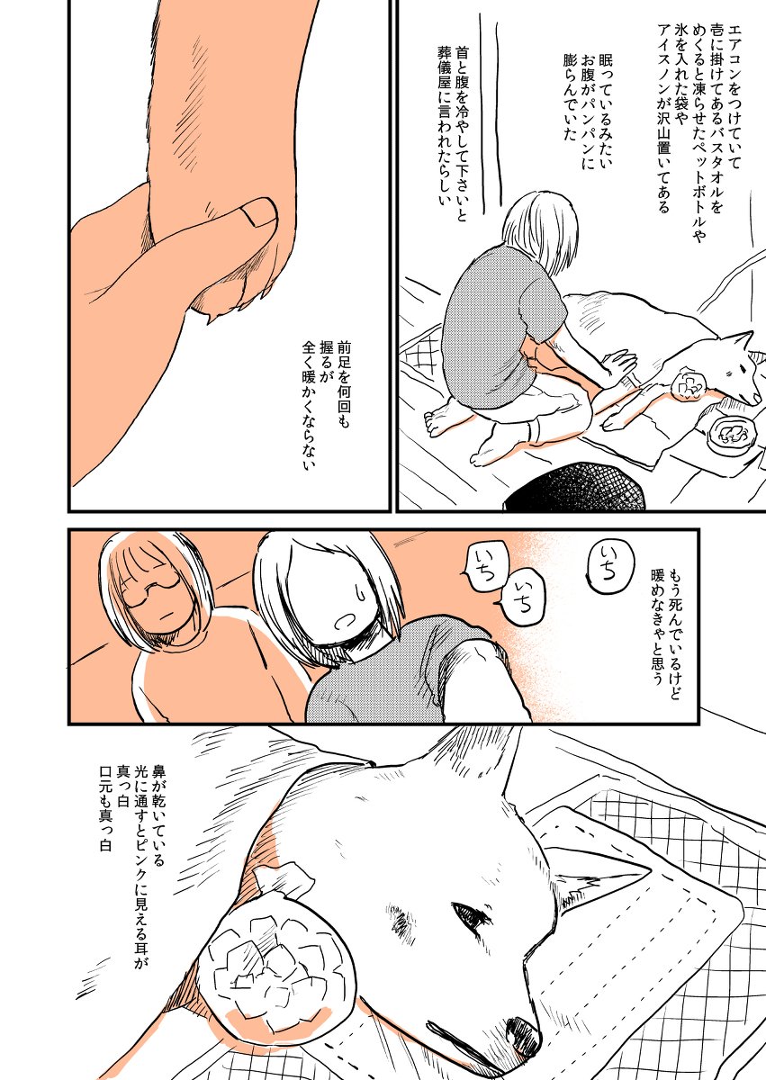 (3/6) 