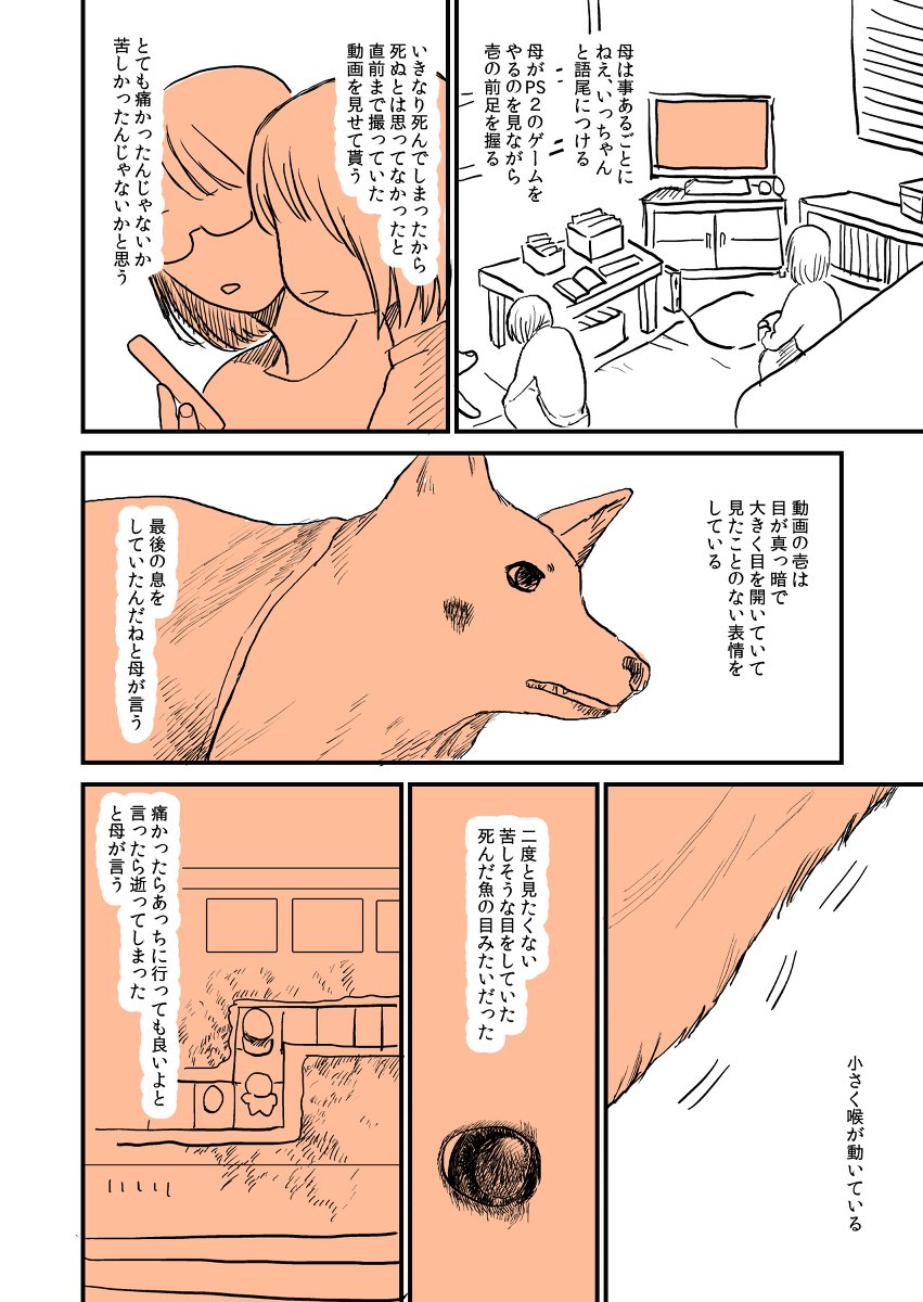 (4/6) 