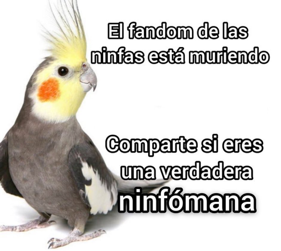 𝕷𝖔𝖛𝖎𝖓𝖌 𝕸𝖊𝖒𝖊𝖘 🥕 (@memes4love1) on Twitter photo 