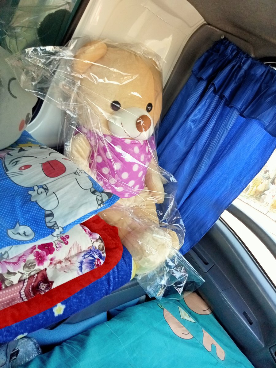 stap_lnw's tweet photo. 🐻🐻🐻🐻 https://t.co/F4gUHGz7BL