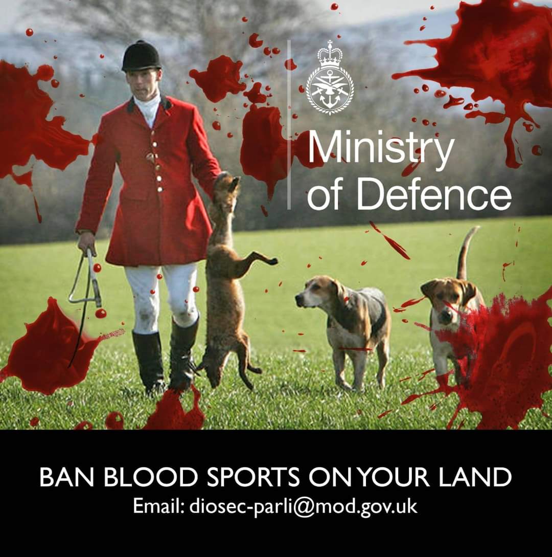 It seems Harry Mayo, the man who filmed the Avon Vale torturing foxes for fun, is the child of some extremely high ranking people in the MoD. We wonder why the MoD keep ignoring emails about banning hunting....