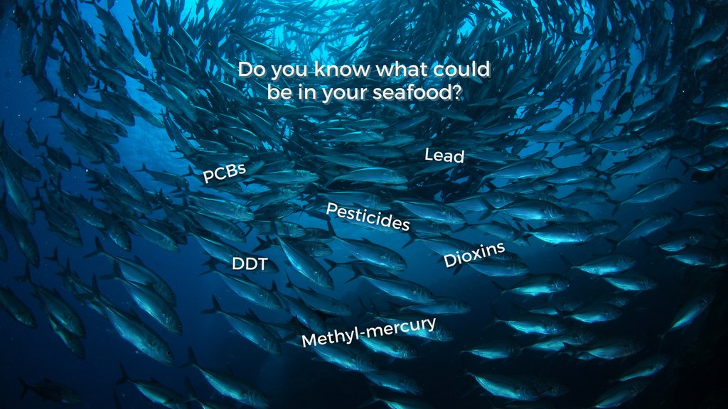 OP_Society's tweet image. One of the many reasons to take part in @fish_free_feb is your health! Pesticides, chemical pollution, and more have unfortunately led to marine life becoming contaminated with these and other toxins. #FishFreeFebruary