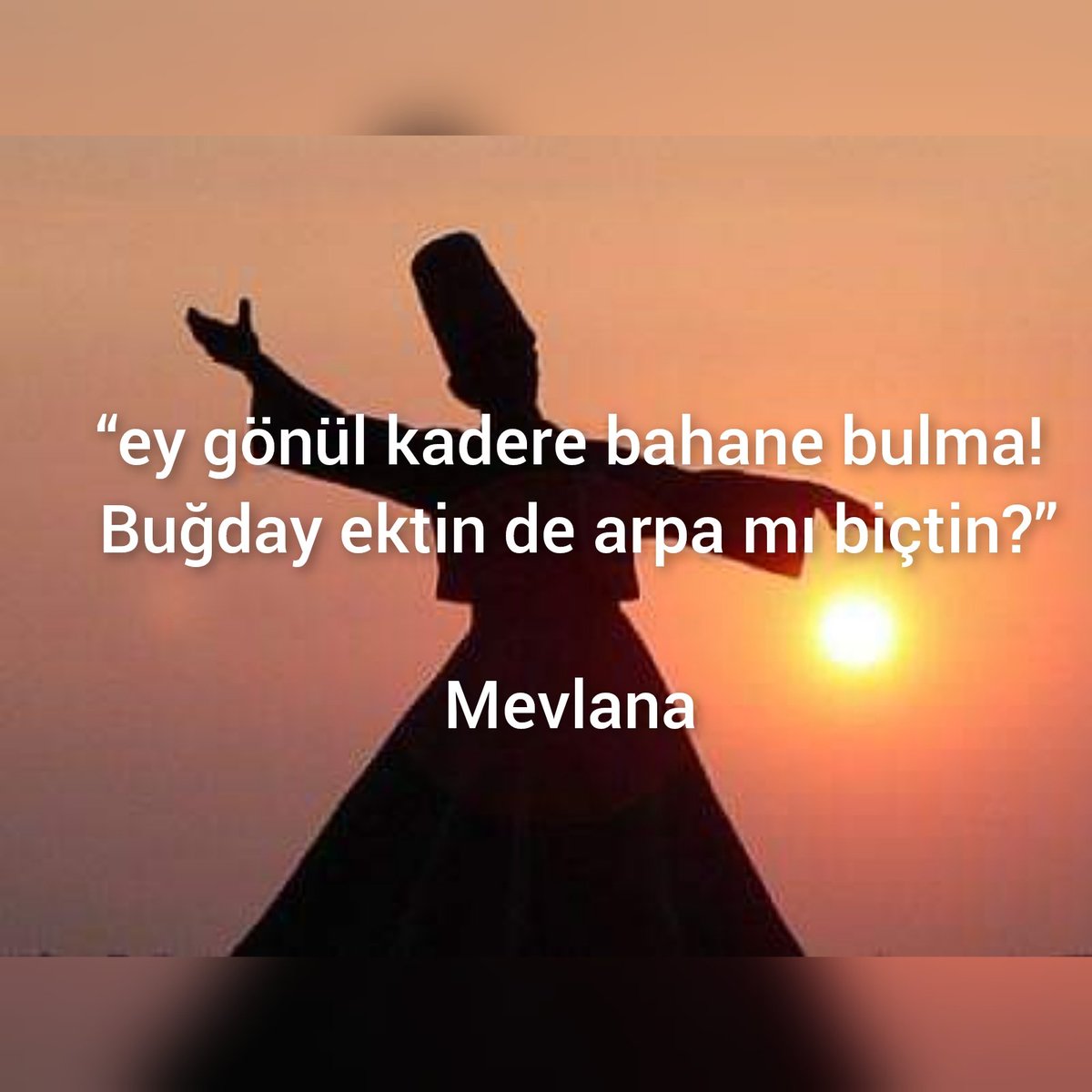 Necati Kartal (@necokartal) on Twitter photo 