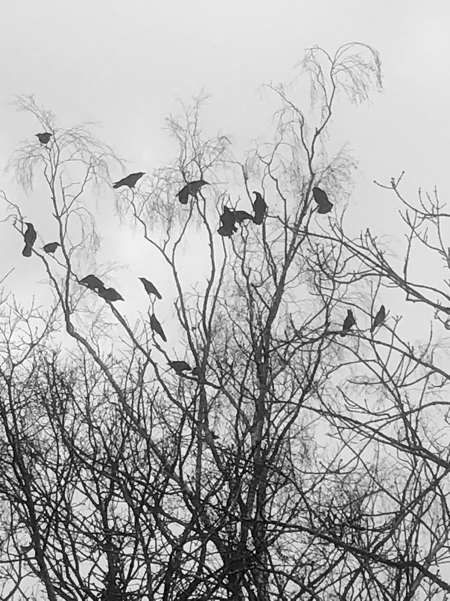 Bexhill Museum on Twitter "RT Sarehole_Mill Don’t know about Tolkien