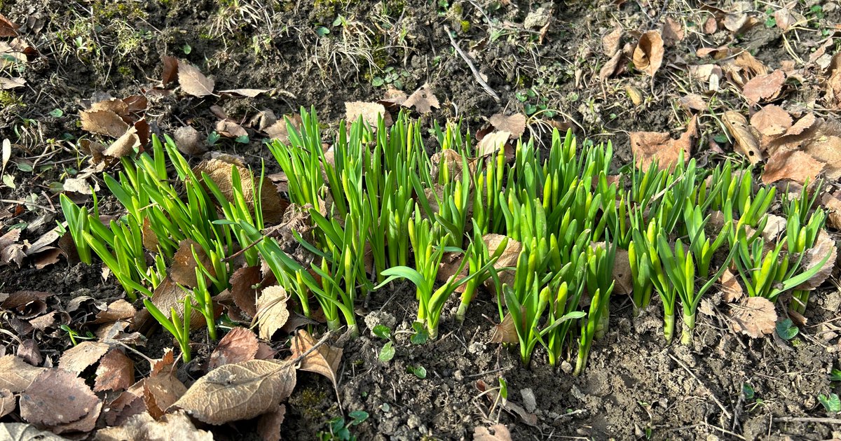 whiltonmarina's tweet photo. Spring has sprung over the marina this morning ๐
#canalboat #narrowboat #canal #waterways #marina #boat #springisaroundthecorner https://t.co/yYl68Nz5xe