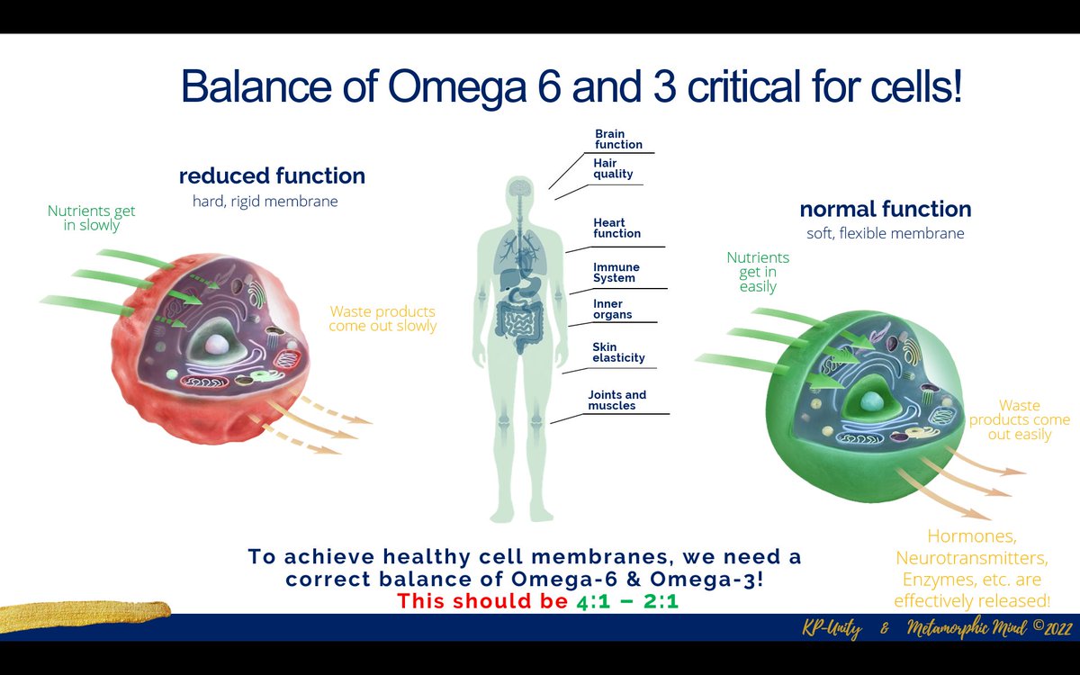 MetamorphicMind's tweet photo. When you get this simple concept of health literacy 😉 you can literally transform your health &amp; your future. Test - Know - Act ☯️

#health #nutrition #wellness #fitness #empowerment #bodypositivity #gymlife #Diet #ZinZino #KPUnity #chronicillness #inflammation #lifestyle #Food https://t.co/WUbX51pXEV