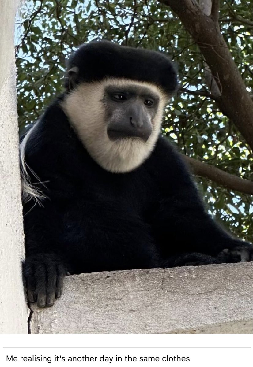 The airline losing your baggage when you’re travelling in Europe for fun is annoying but when they lose it and you’re in Africa for a charity surgical work shop, it’s a whole new level of inconvenience 😕 <a href="/SuzieVenn/">Suzie Venn</a> <a href="/IVUmed/">IVUmed</a>