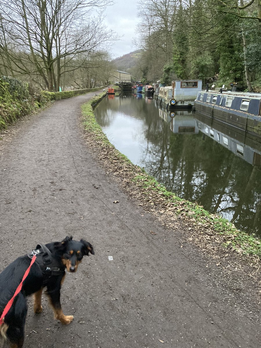 Saturday was 6 degrees so I went out in sandals. Loved the cold air circulating in my clothes. Definitely will leave the coat behind more often @annabelabbs