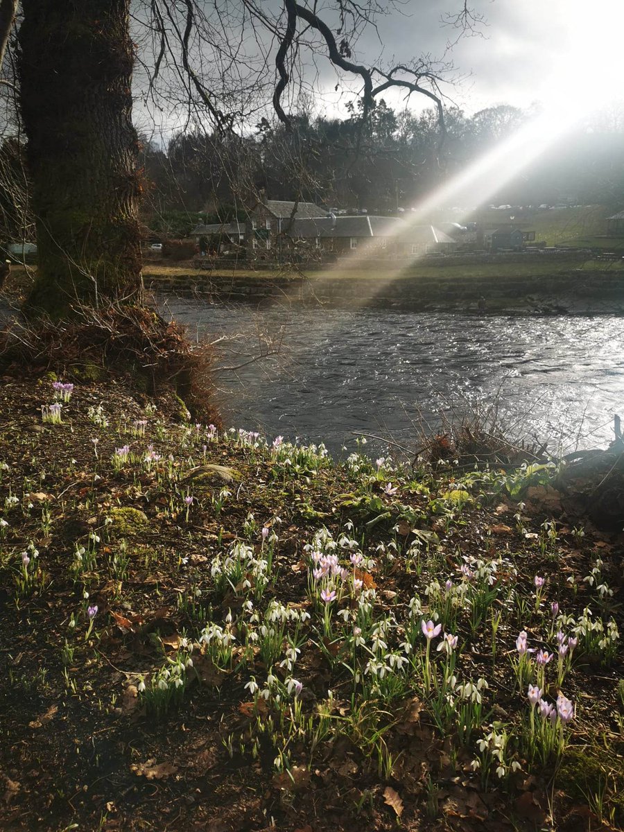 lesleyorr14's tweet photo. #WinterWords @PITLOCHRYft - and portents of spring. Wisdom to ponder, spellbinding storytellers, connections to savour, friends to be grateful for, signs and wonders abounding . The world turns...Thankyou Denise Mina, @alastairmci @Chitgrrl @kerriandrewsuk and my dear @NewmanEJ https://t.co/bjzKgtFOkC