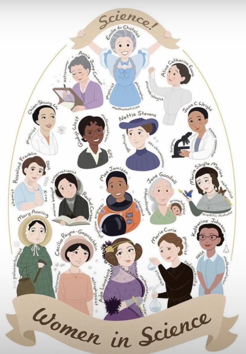 EvaMaria_Gomis's tweet photo. 1️⃣1️⃣ de febrero @UNESCO #DiaInternacionaldelaMujerylaNiñaenlaCiencia. Por un futuro de igualdad e inclusión para todos @scientix_es @stem_ai  #ChicasSTEM #STEAMxCHANGE La mente que se abre a una nueva idea, jamás vuelve a su tamaño original @AdF_RdeMurcia @Educarm @educaINTEF https://t.co/rD91HLiRRX