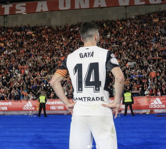 FranGuaita tweet media