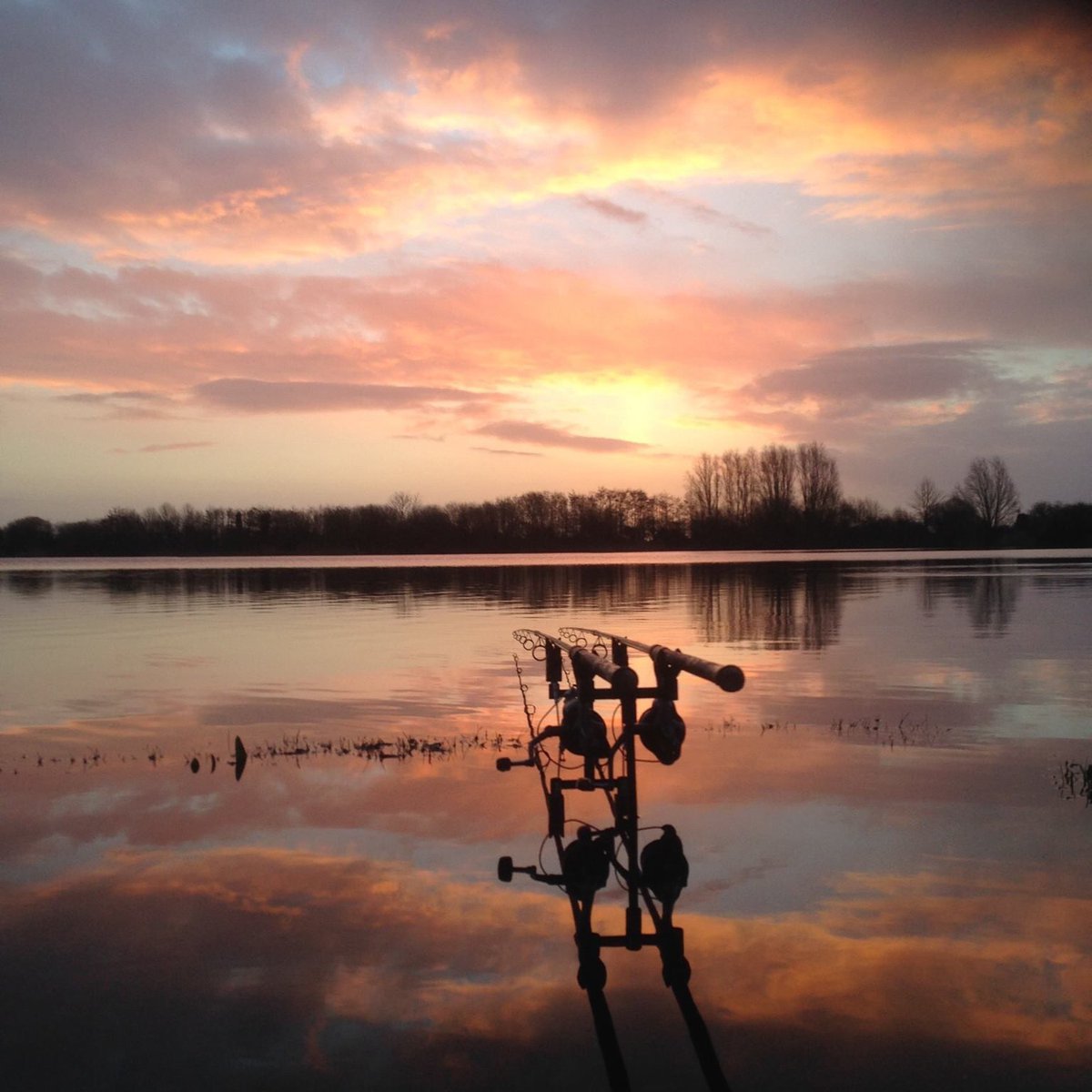 Environment Agency tweet media