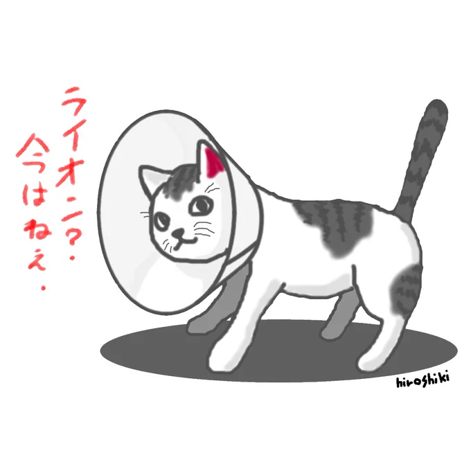 傷が治ったその時、僕は猫に戻ります。
#イラスト
#ねこ 