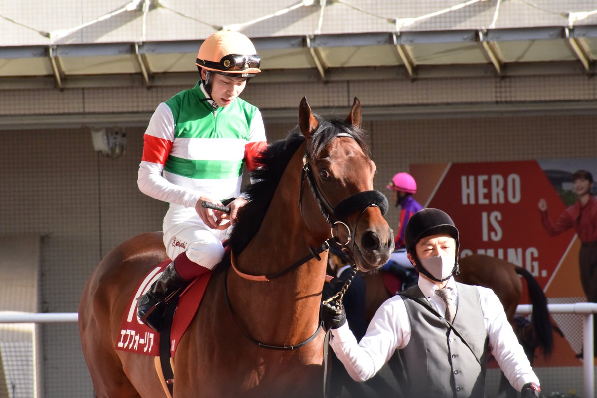 UmaMikoto's tweet image. 京都記念、現地で見ていたけど本当にショックだった。悔しかった。
でも、この目つきと武史のこの笑顔、この軽やかな足取りははきっと信じてよかったんだと思います。
何より、無事でよかったです。

次に走る姿を楽しみにしています。
頑張れ、エフフォーリア。

#エフフォーリア 
#京都記念2023