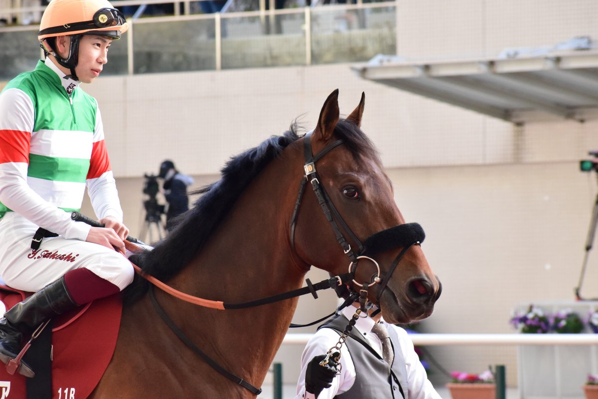 UmaMikoto's tweet image. 京都記念、現地で見ていたけど本当にショックだった。悔しかった。
でも、この目つきと武史のこの笑顔、この軽やかな足取りははきっと信じてよかったんだと思います。
何より、無事でよかったです。

次に走る姿を楽しみにしています。
頑張れ、エフフォーリア。

#エフフォーリア 
#京都記念2023