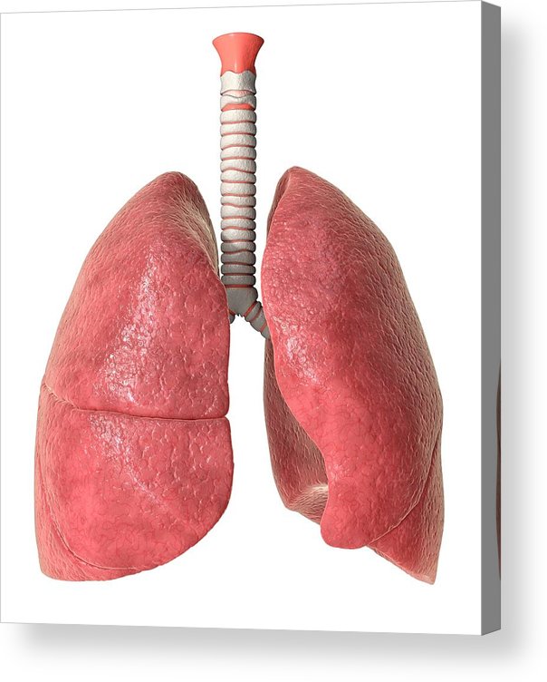 TheRstott's tweet photo. Non smoker                     Smoker https://t.co/F3fofHr8ag