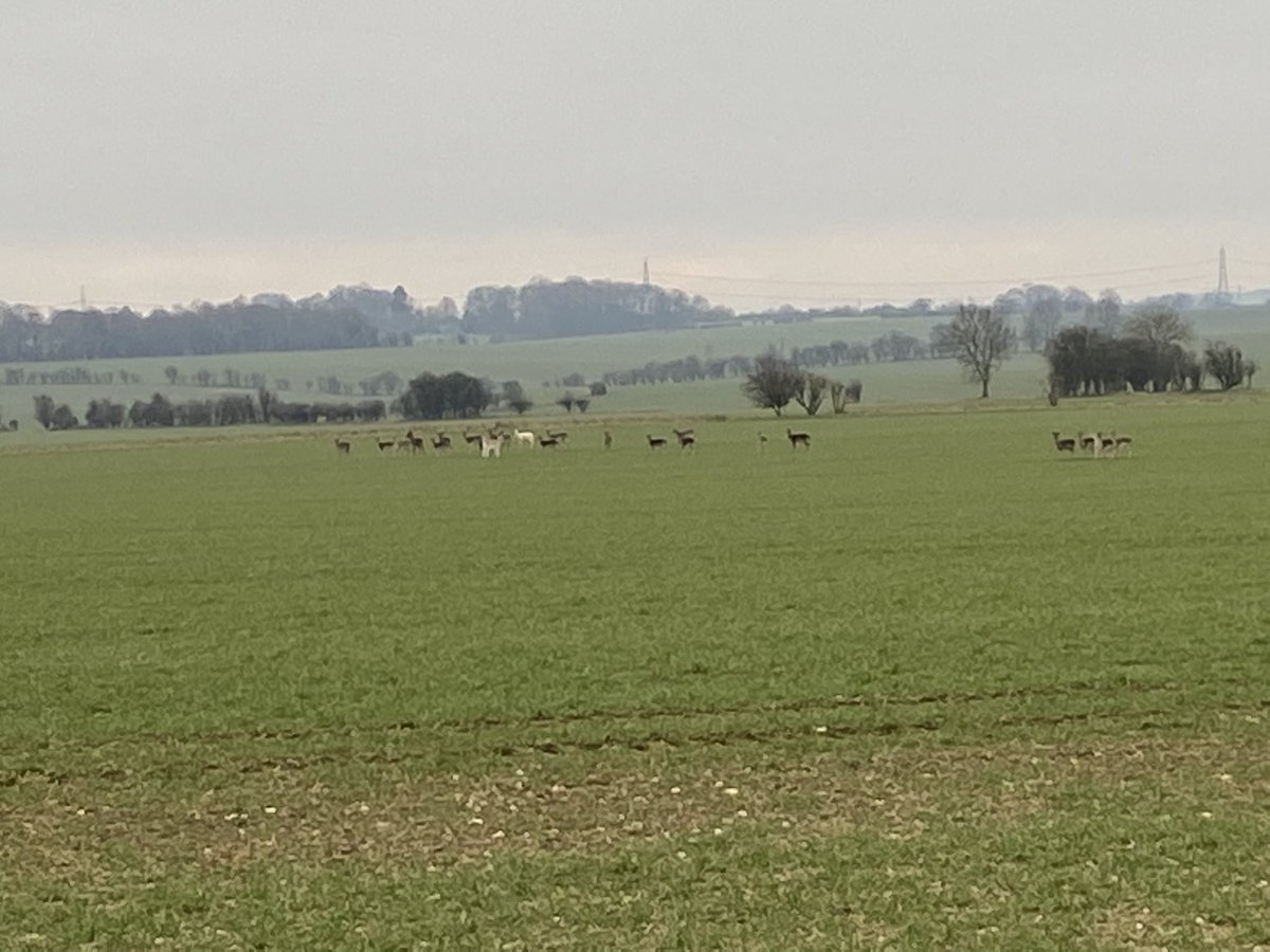 Seeing this lot making the 10 miles a little easier #sundayrun