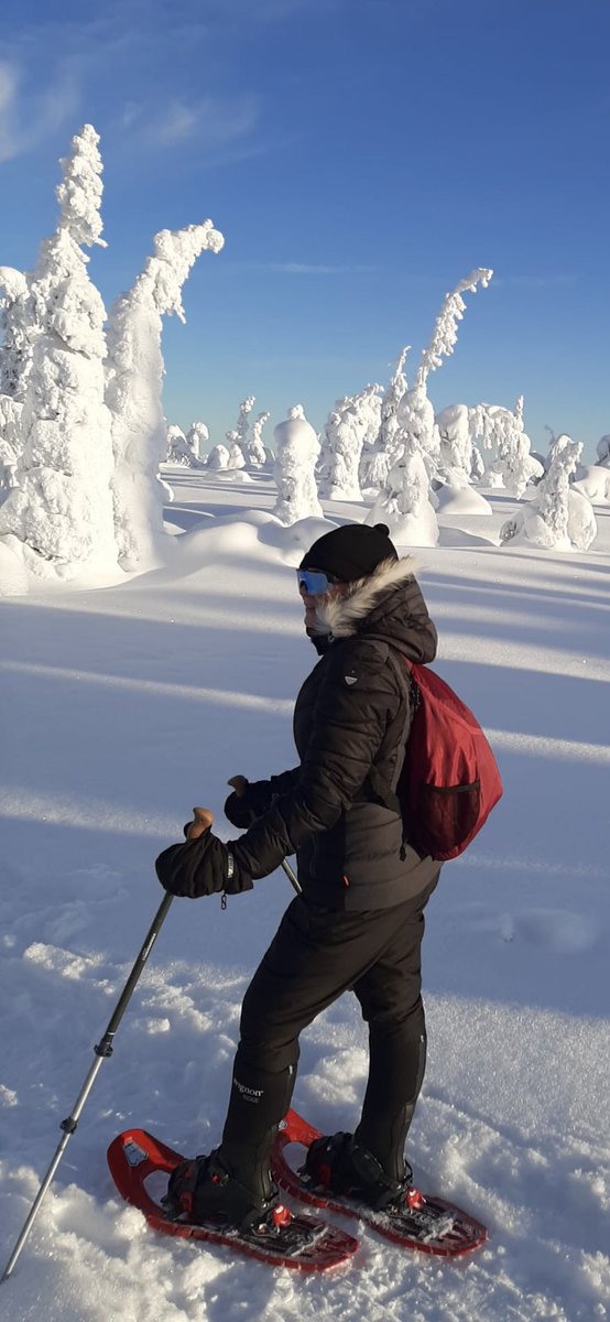 Tänne voisin jäädä! #riisitunturi