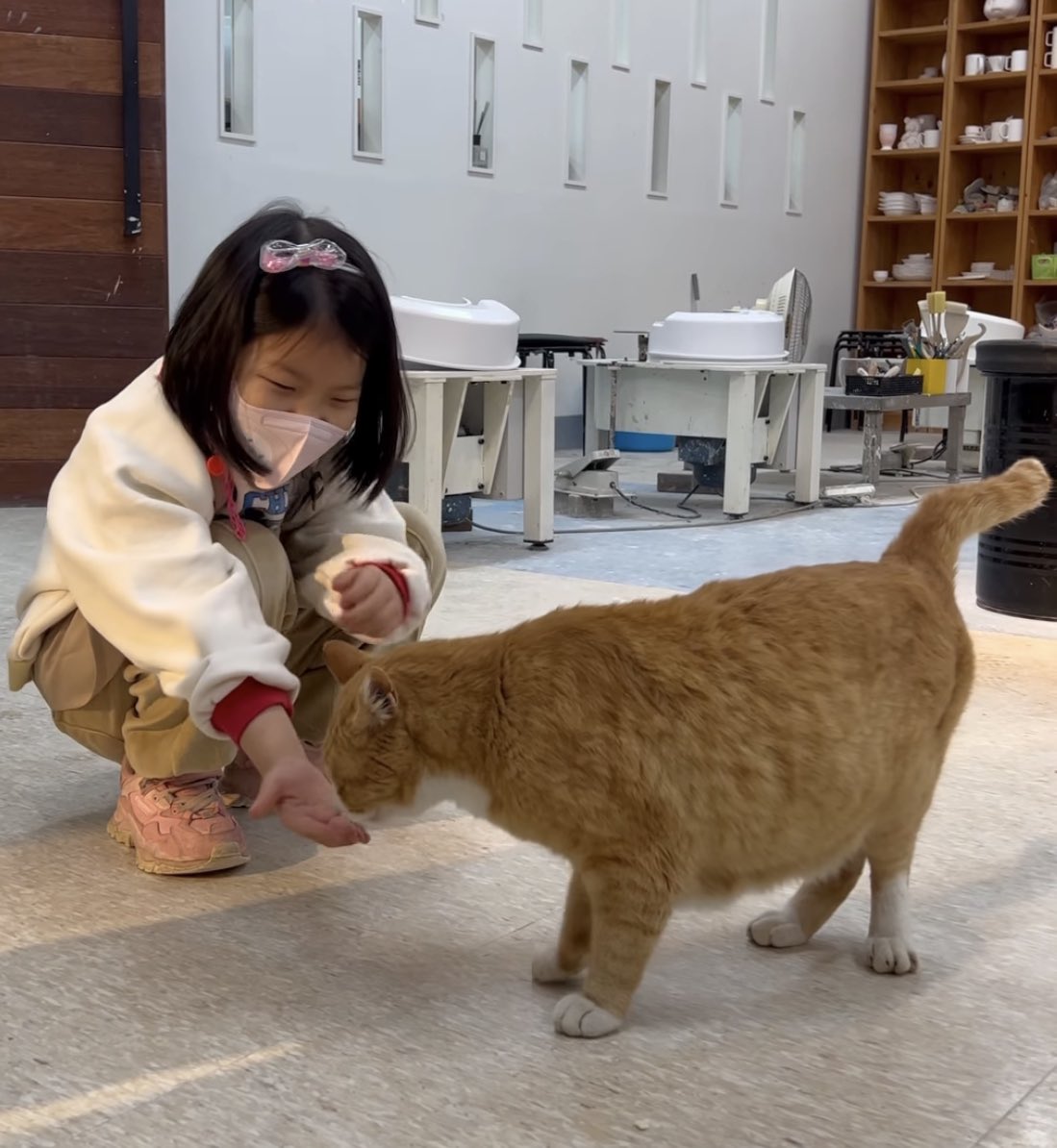 iruka99's tweet photo. 아이 도예선생님이 공방고양이 달이를 너무 예뻐하니 농담 삼아 입양을 권유하셨는데, 잠시 고민했다. 멍집사 vs 냥집사
집을 비우는 시간이 많아 아���은 어려울 거 같다. https://t.co/w3AMzzOFXx