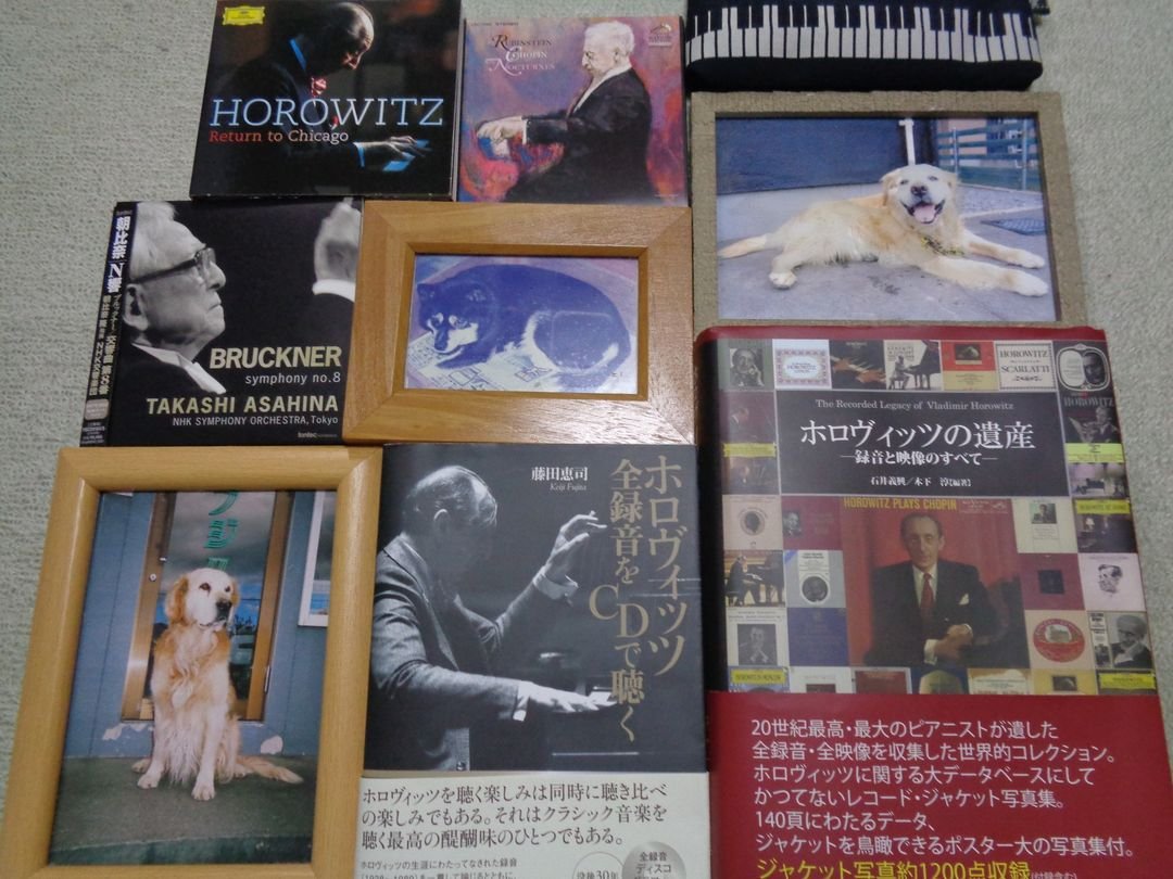 から厳選したから厳選したホロヴィッツ・オリジナル・ジャケット