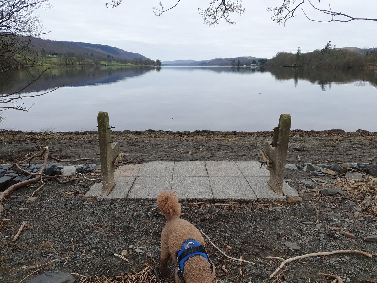 Coniston Parish tweet media