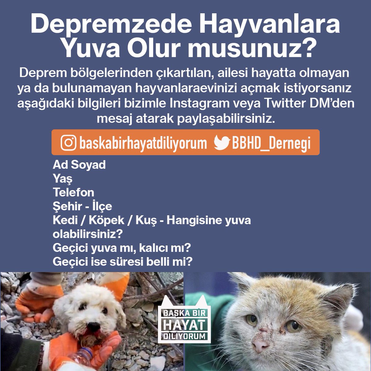 #Depremzede hayvanlara #yuva olur musunuz? Paylasiminiz bile bir cana umut isigidir.

Kayit bilgileri, nakil ve yuvalandirma koordinasyonuna dahil ekip ve kuruluslar ile paylasilabilir. Nakil saglandikca iletisim kurulacaktir.

<a href="/ahbap/">Ahbap</a> <a href="/babalatv/">BaBaLa TV</a>

#deprem #DEPREMOLDU