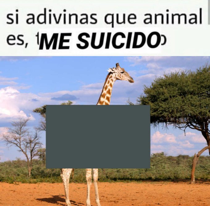 tamuwu (@nyxeth) on Twitter photo 