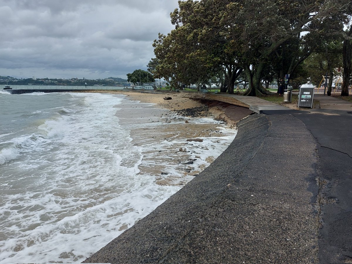 coastandoceancollective (@coastandoceanc) on Twitter photo Already clear signs of erosion on some urban beaches in the Waitemata Harbour. This pic is from devonport
Stay safe. 
#CycloneGabrielle Already clear signs of erosion on some urban beaches in the Waitemata Harbour. This pic is from devonport
Stay safe. 
#CycloneGabrielle