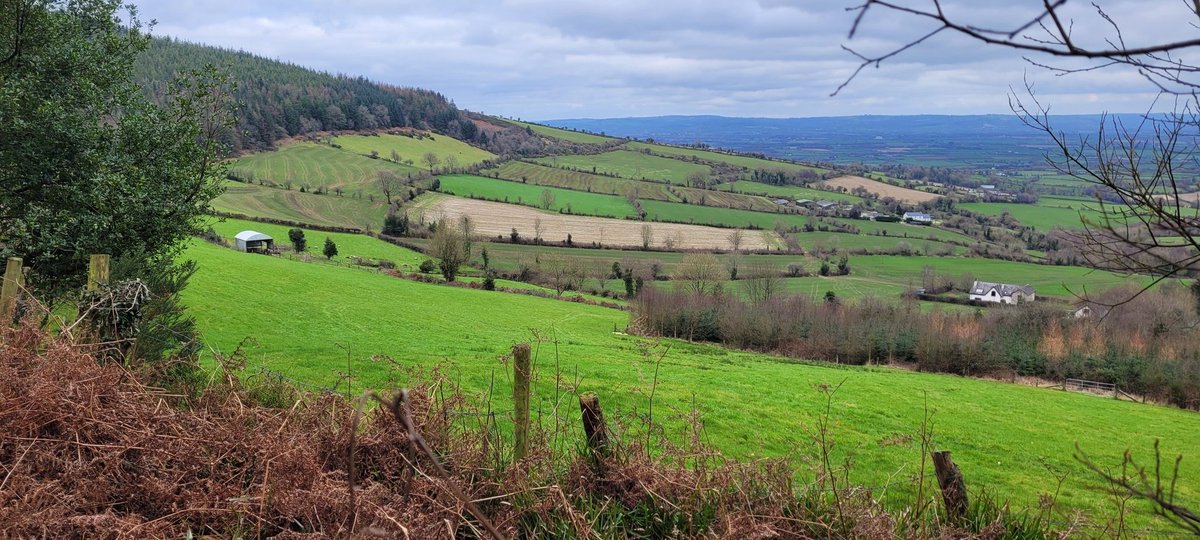 A #Kilkenny farmscape - good woodcock country