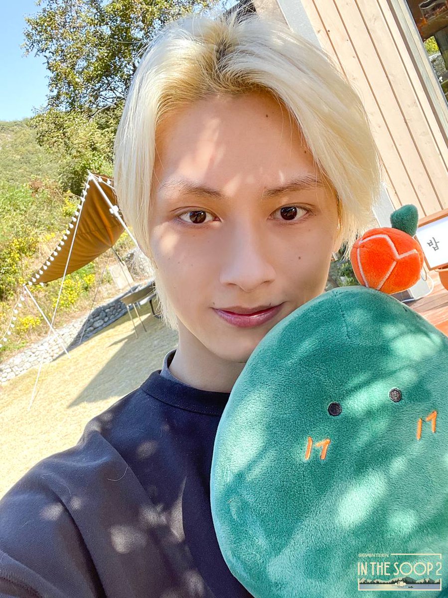 daily wonhui tweet media