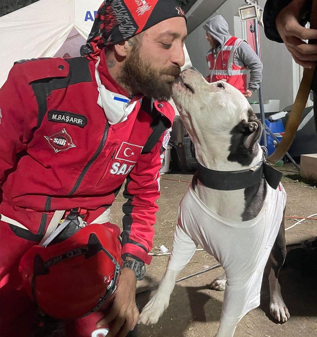 Leo bir Pit Bull.
Ülkemizde müebbet hapis ile çıkışı yasak barınaklarda hapsedilen cins.

“Kötü köpek yoktur,kötü sahip vardır.”

Leo,Hatay'a ulaşan ve 135 saat sonra bir kişiyi kurtarmayı başaran BodrumSAR ekibinden.
#TurkishEarthquake
#hayvanlarıbırakmayın