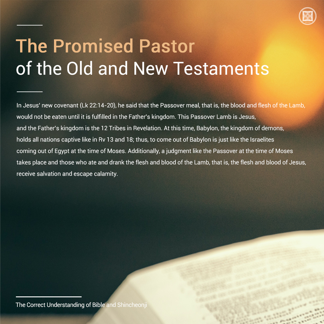 scjchurch_en's tweet photo. The Promised Pastor of the Old and New Testaments
😀Entire post: https://t.co/dQCfeHcbmE
📝#BibleStudy: https://t.co/Hv8gPHGXrh
#PromisedPastor #OldTestaments #NewTestaments #bible #Truemenaing #Shincheonjichurch https://t.co/ipRzjqEtC4