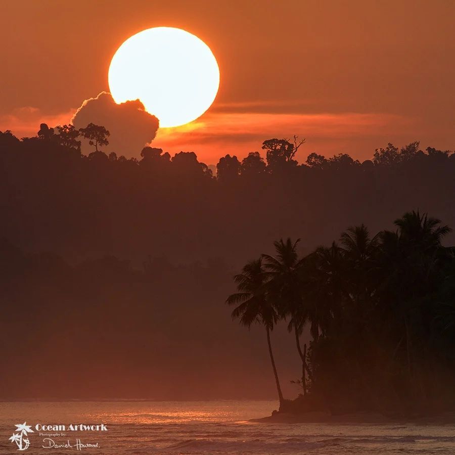 OceanArtwork's tweet photo. Reposting these shots from 5 or 6 years ago . . .  Indo sunrises are some of the best Ive ever experienced
Hoping to be back there for more soon https://t.co/LOaYlbf4sq https://t.co/kUY0SXqAlf