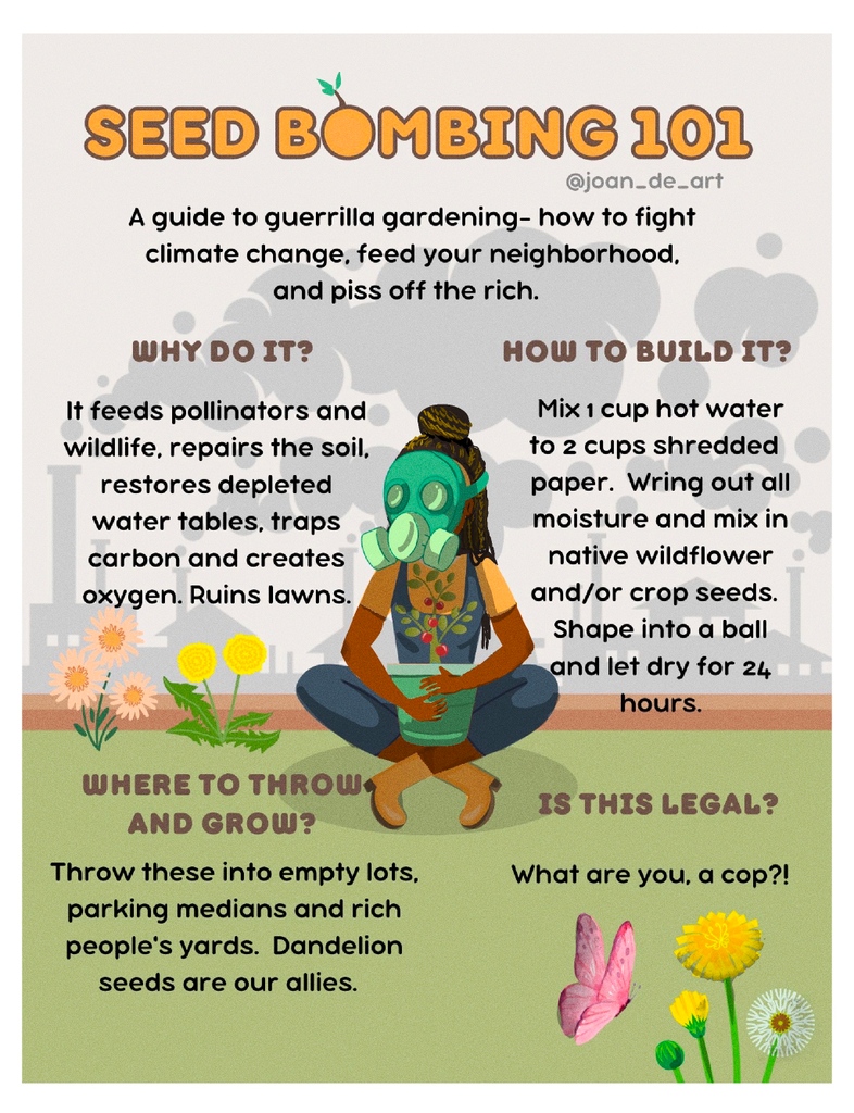 The monoculture grass lawn days are numbered.  Roots not Roundup, wildflowers not weedwackers, songs not silence.    

 Rebellion starts from the ground up. 

#seedbomb #naturecraft #ecoprotest #seedthechange